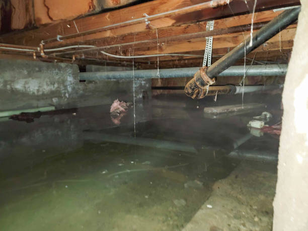 Water damage restoration process in Scotchtown, NY