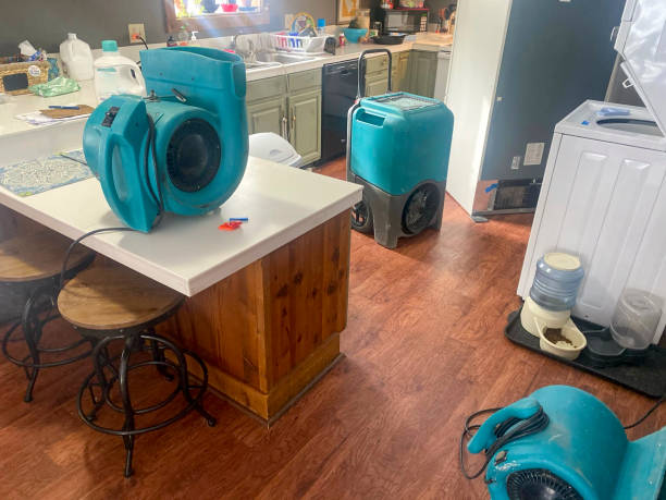 Best Local water damage restoration  in Scotchtown, NY