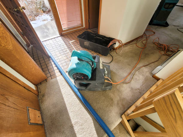 Best Sewage cleanup and water damage restoration  in Scotchtown, NY