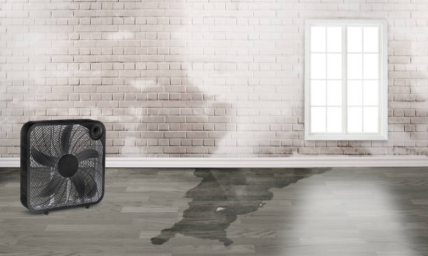 Fire Damage Restoration in Scotchtown, NY