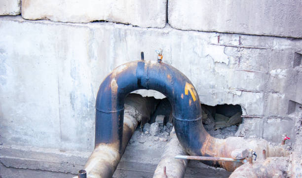 Best Mold removal after water damage  in Scotchtown, NY