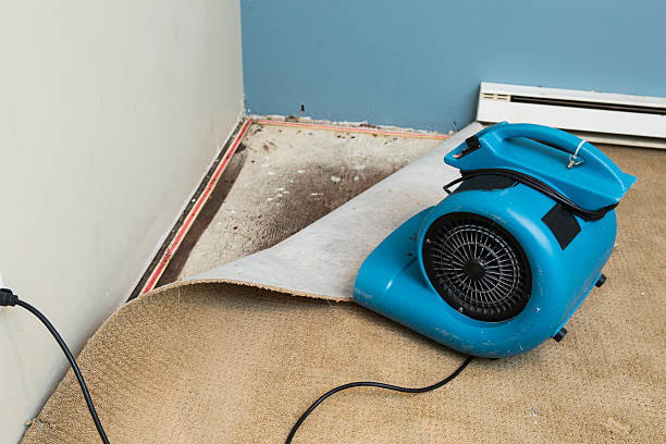 Best Water damage restoration near me  in Scotchtown, NY